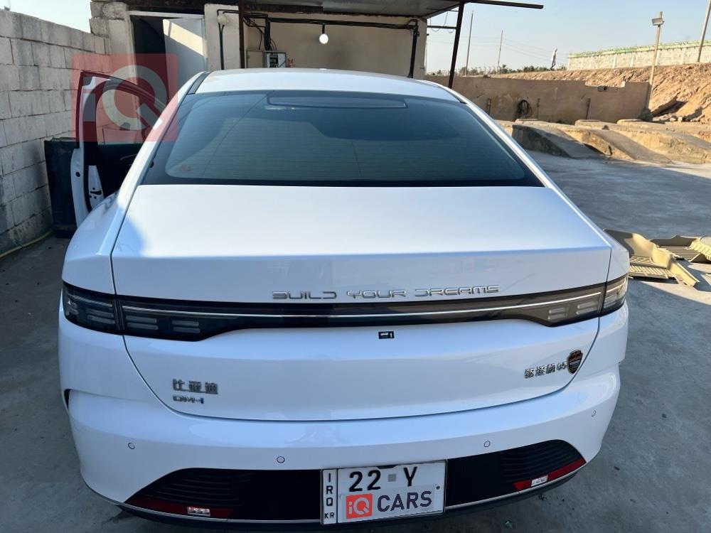 BYD Destroyer 05